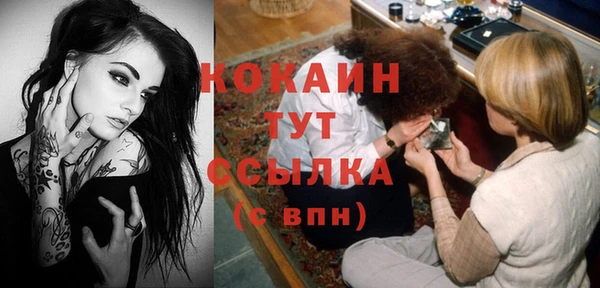 mdma Новодвинск