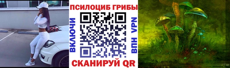 Псилоцибиновые грибы прущие грибы  Новомичуринск 
